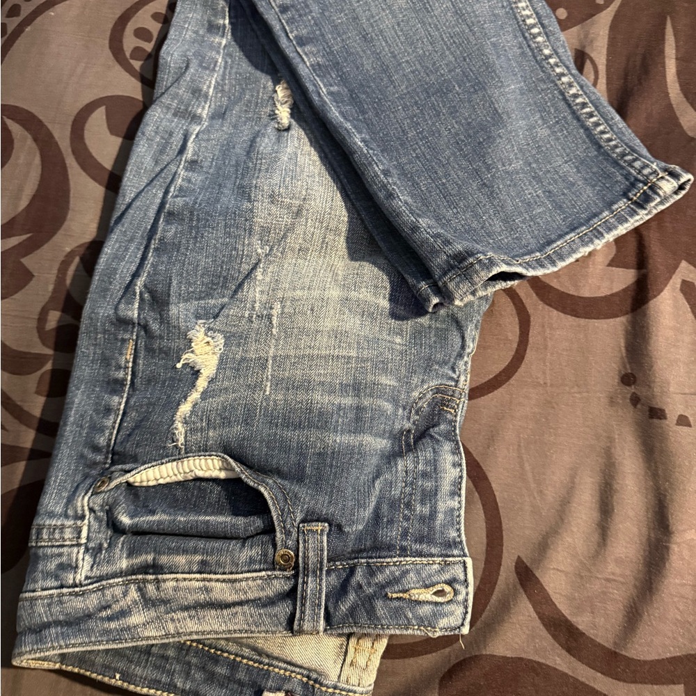 Vigoss Blue Ankle Cropped Jeans